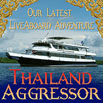      - Thailand Aggressor
